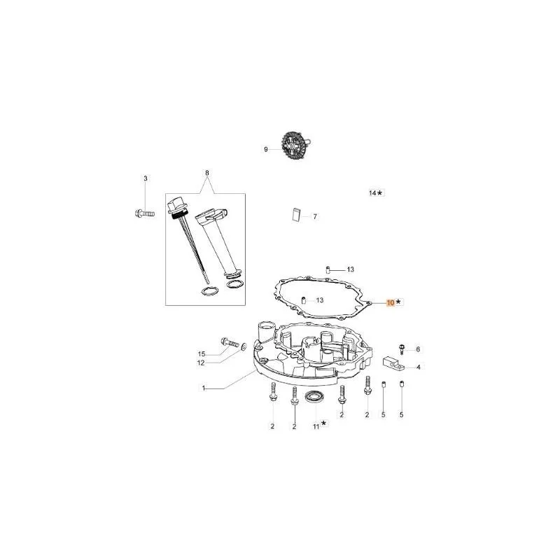 newgardenstore-13116987