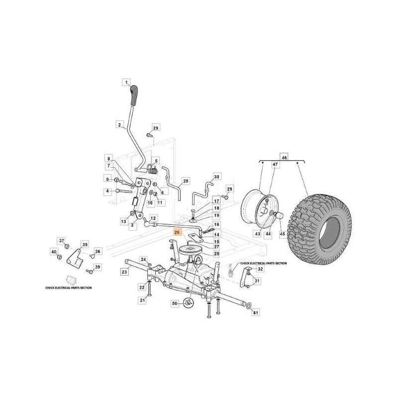 newgardenstore-13127635