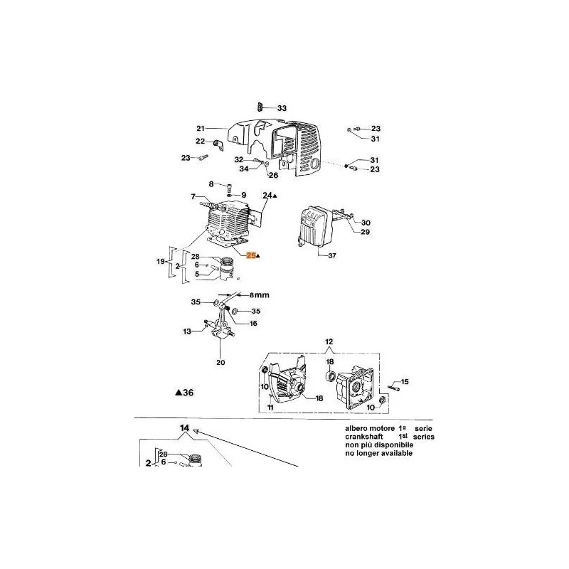 newgardenstore-13131605