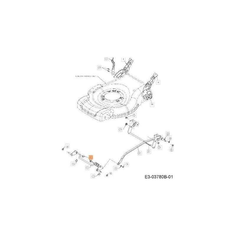 newgardenstore-13140714