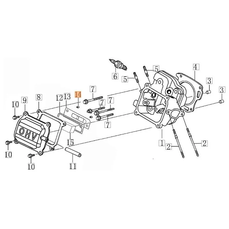 newgardenstore-13141794