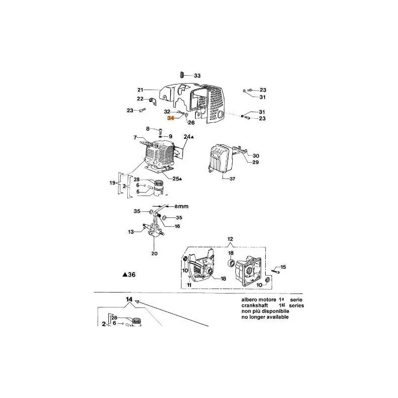 newgardenstore-13143774