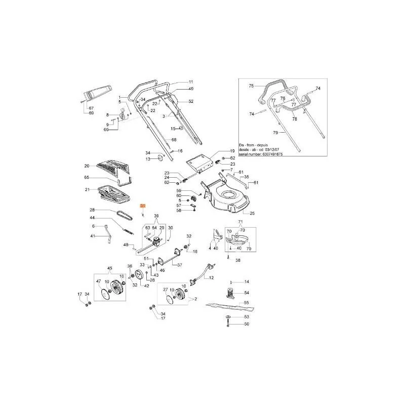 newgardenstore-13148743