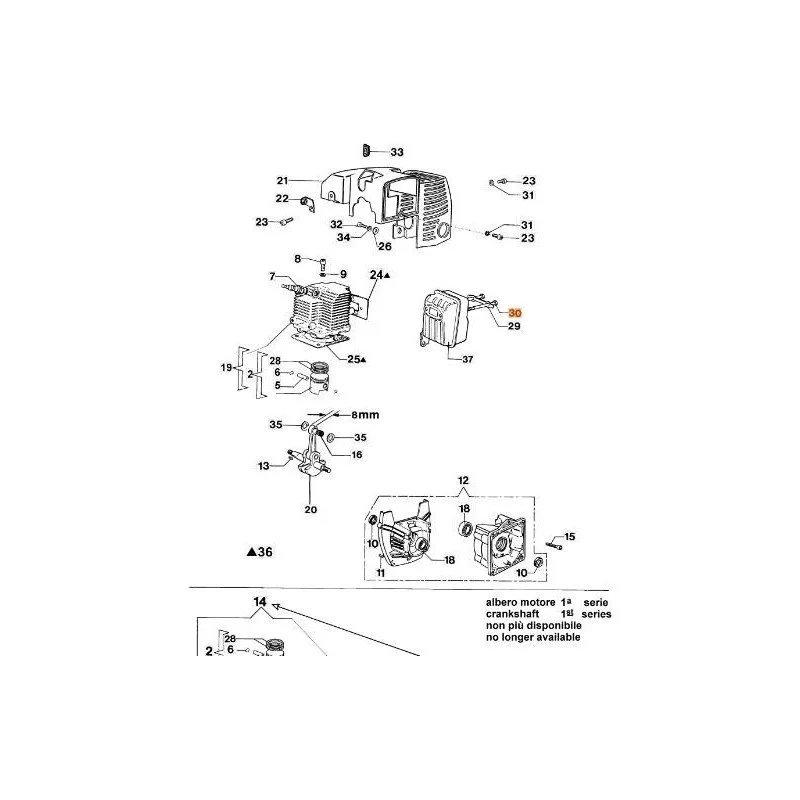 newgardenstore-13162488