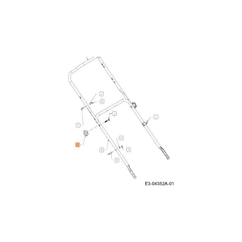 newgardenstore-13170395