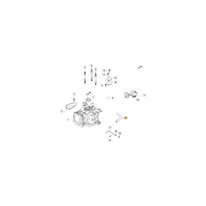 newgardenstore-13170656