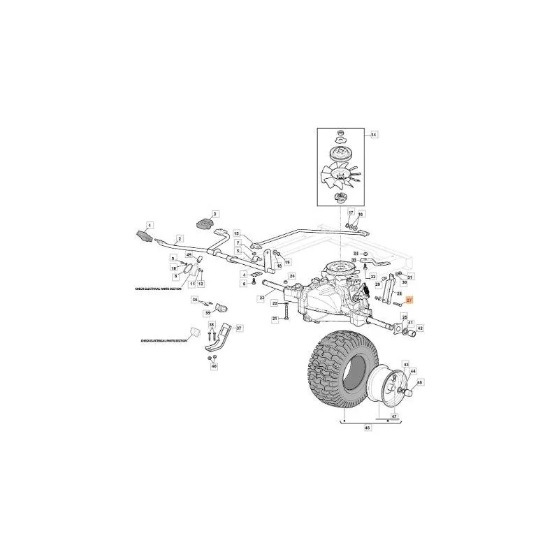 newgardenstore-13173931