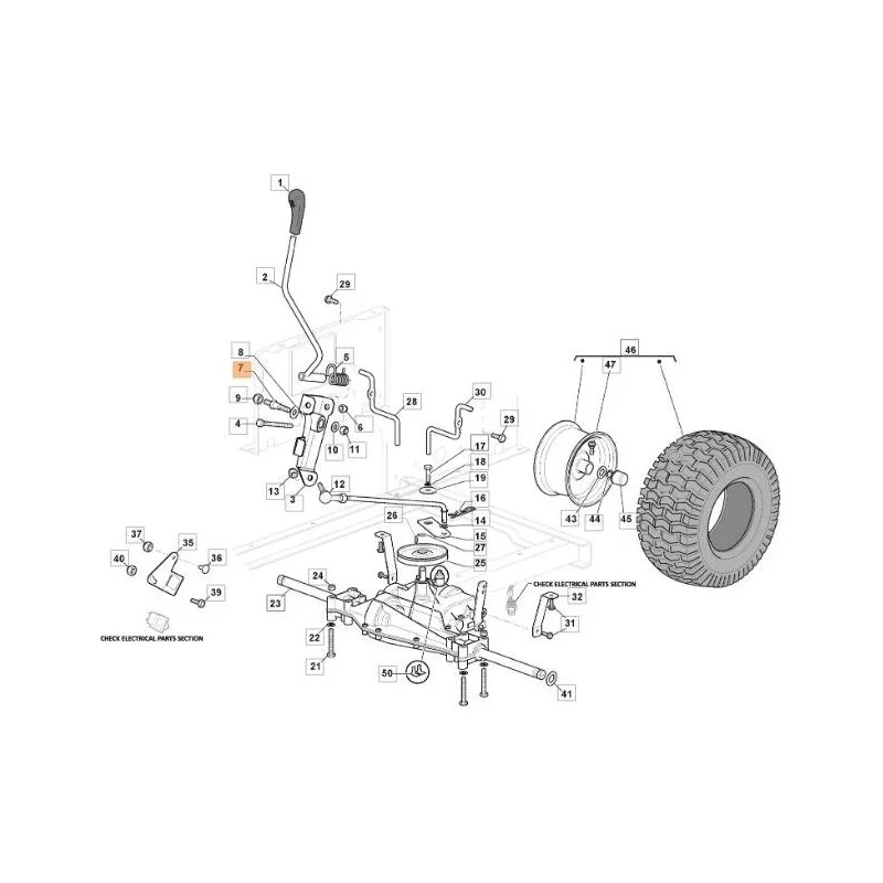 newgardenstore-13175947