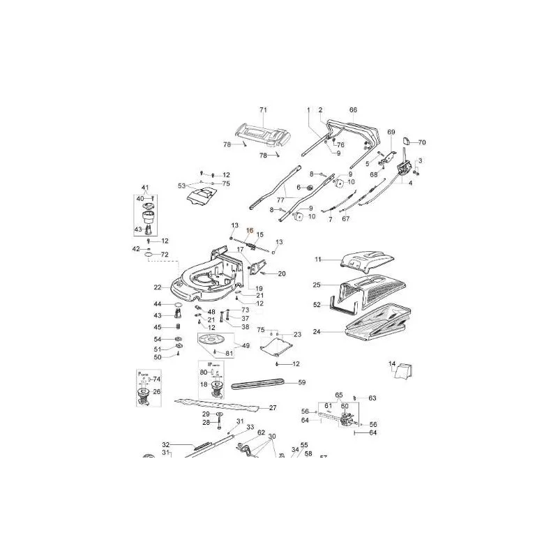 newgardenstore-13181861