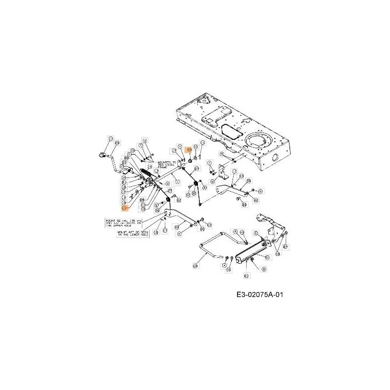 newgardenstore-13184292