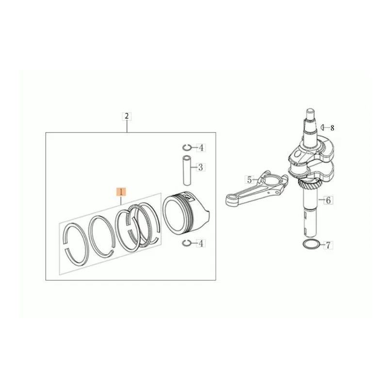 newgardenstore-13203534