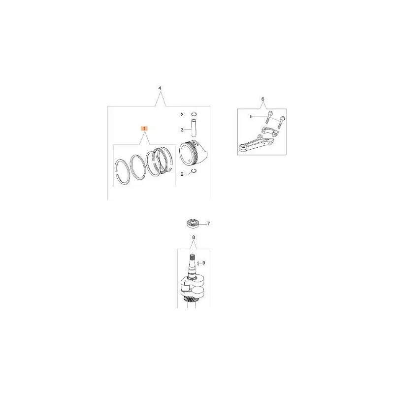 newgardenstore-13203651