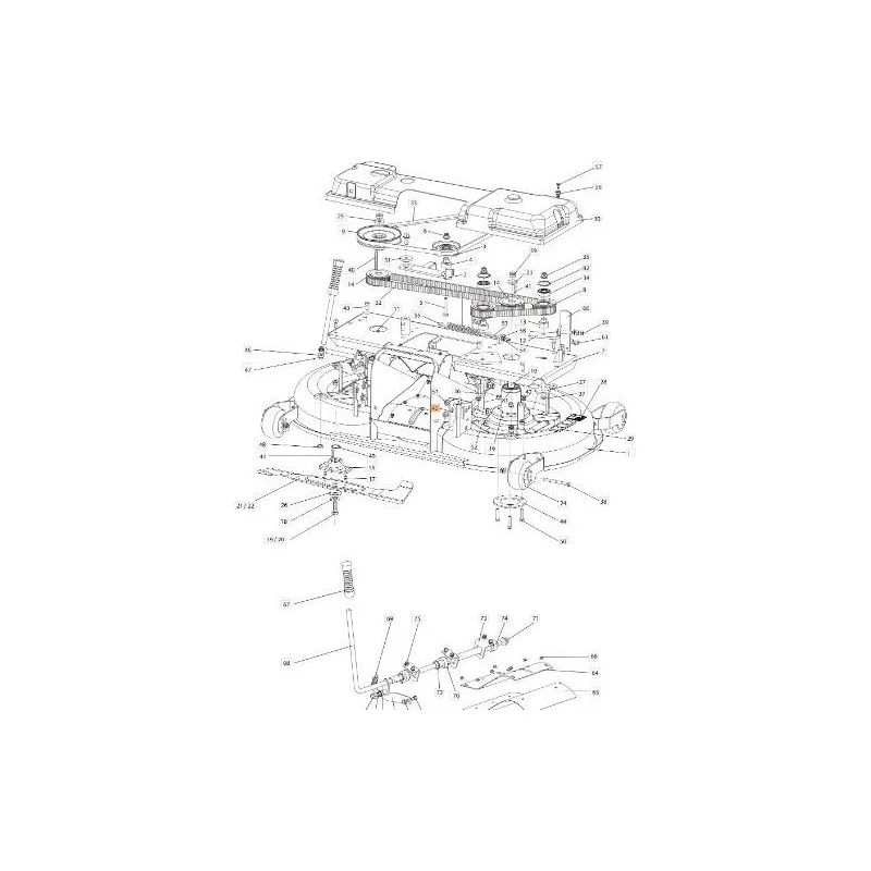 newgardenstore-13209974