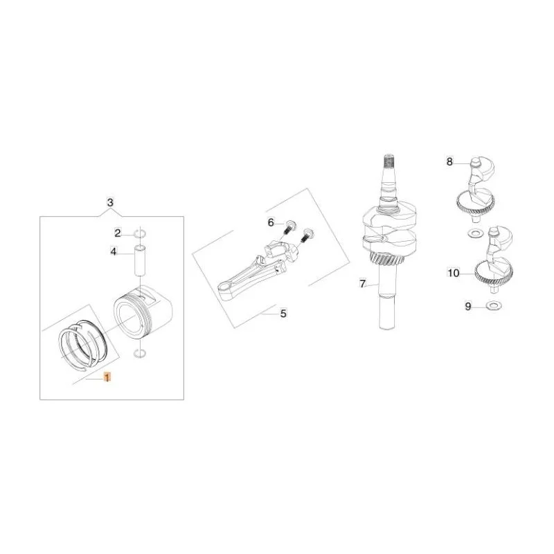newgardenstore-13211872