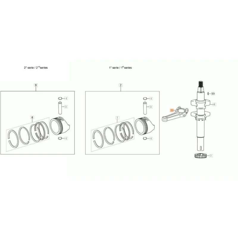 newgardenstore-13212874