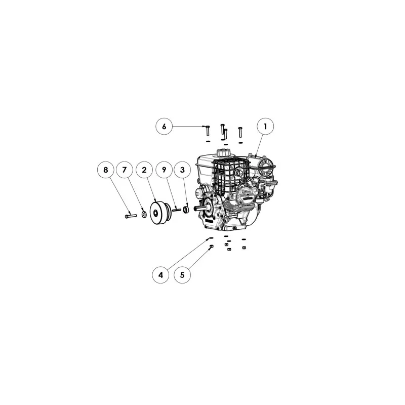 newgardenstore-13237733