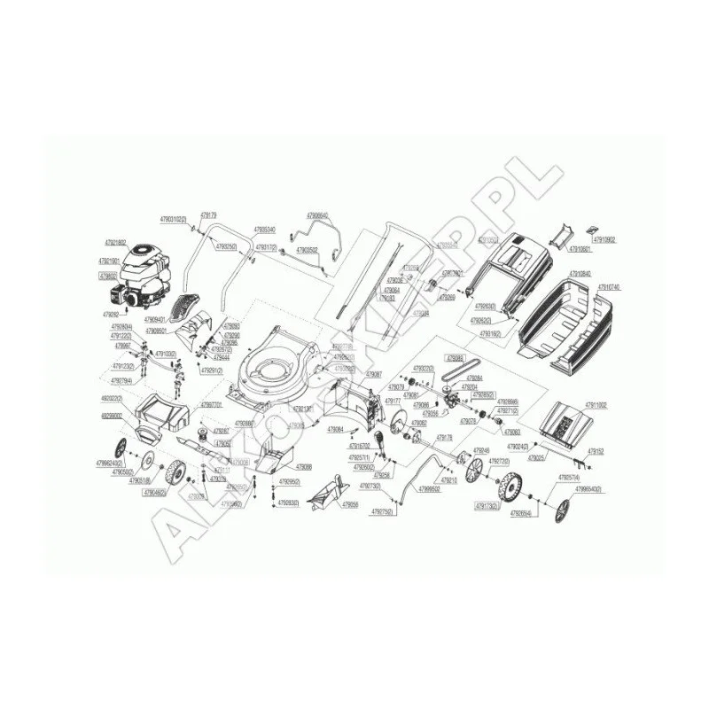 newgardenstore-13622047