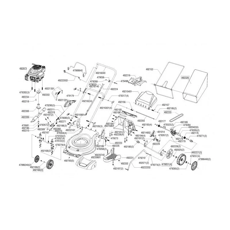 newgardenstore-13627557