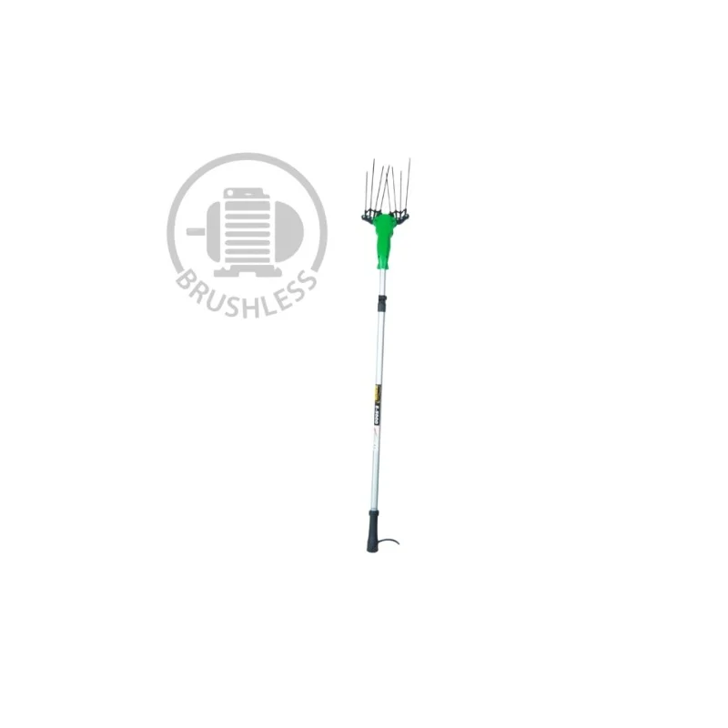 newgardenstore-13655975