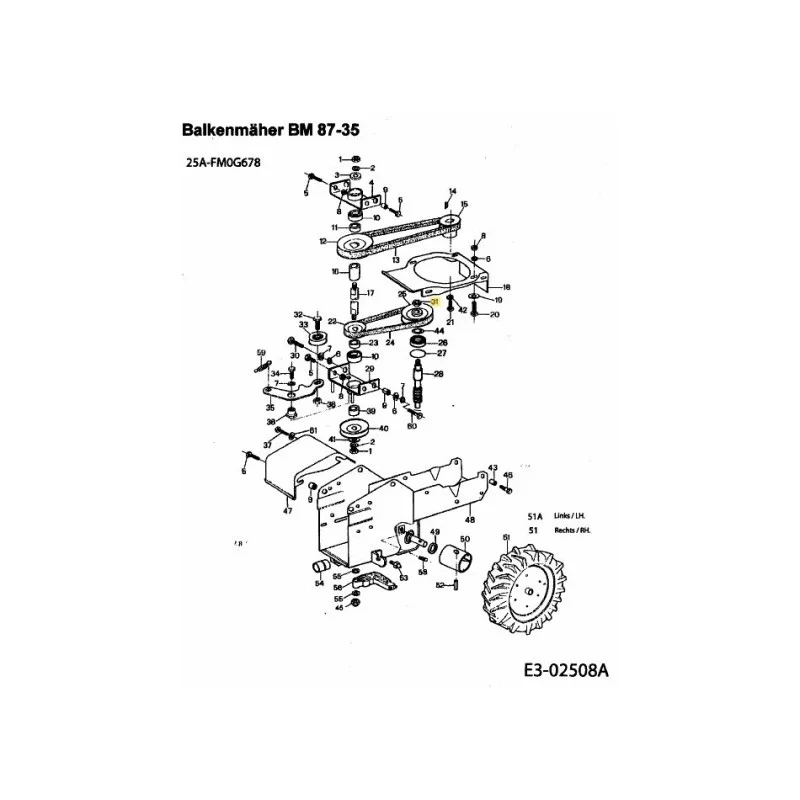 newgardenstore-22799301