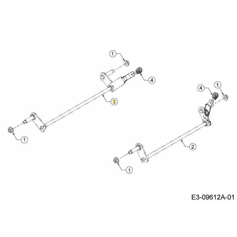 newgardenstore-22800823