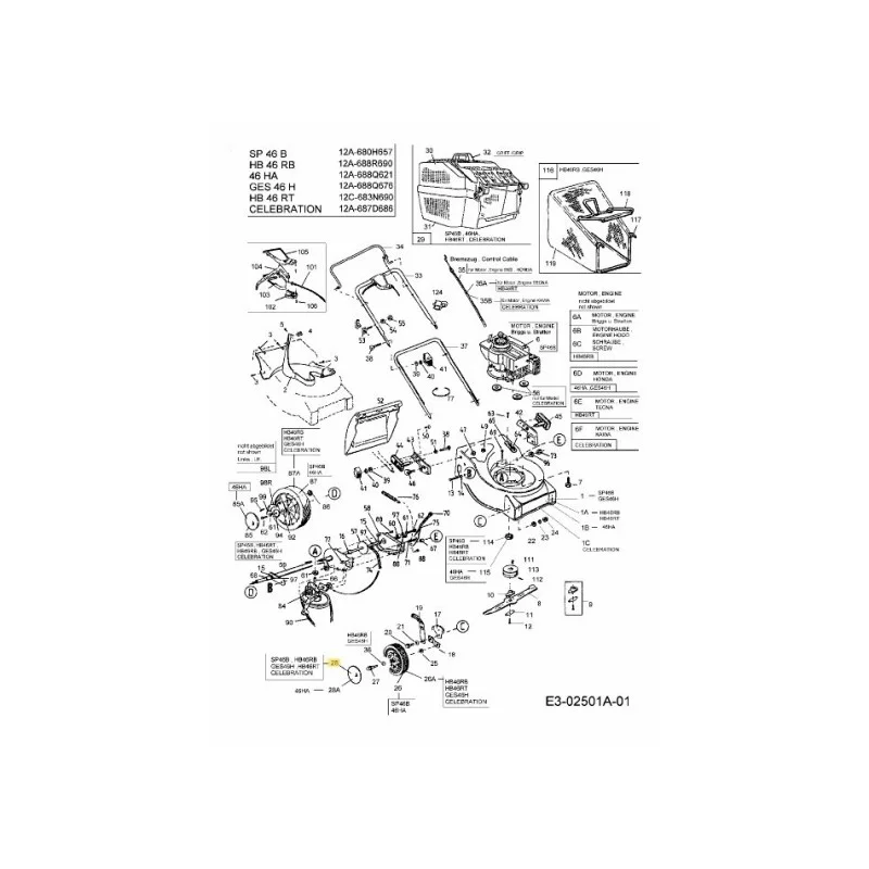 newgardenstore-22802393