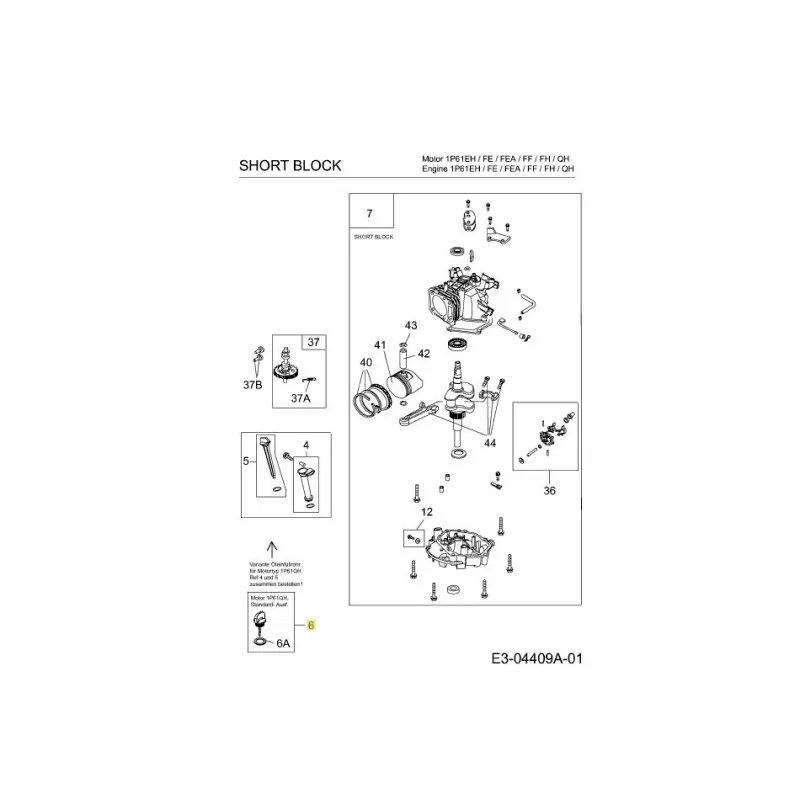 newgardenstore-22803524