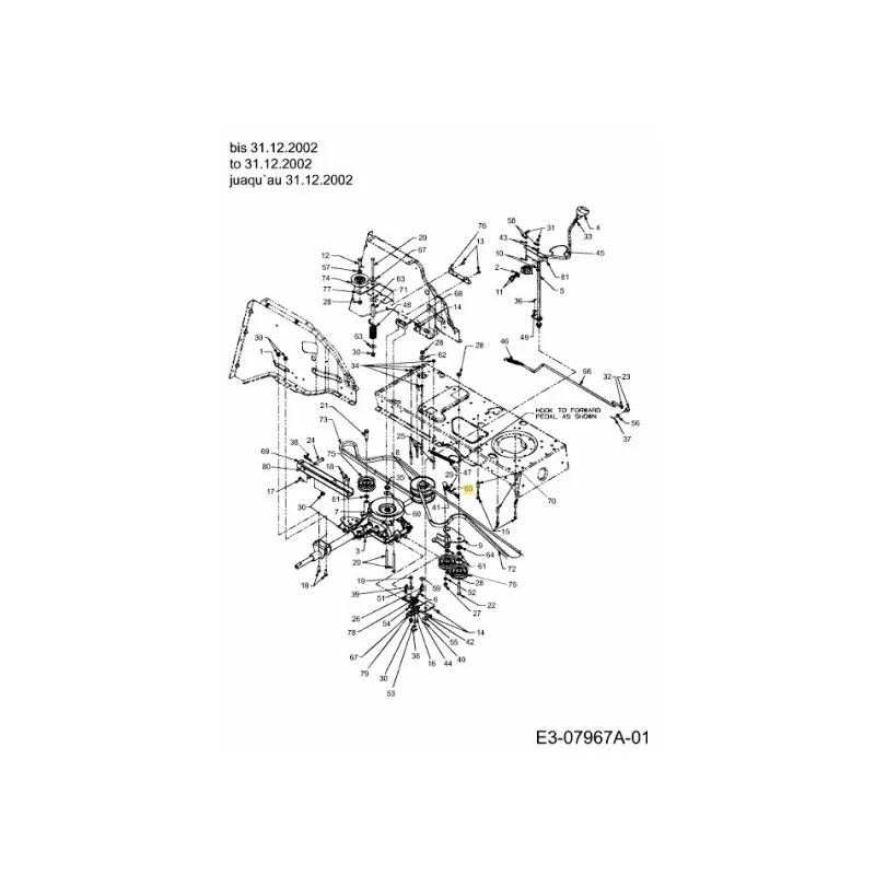 newgardenstore-22804314