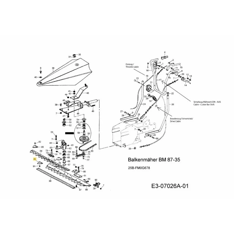 newgardenstore-22806567