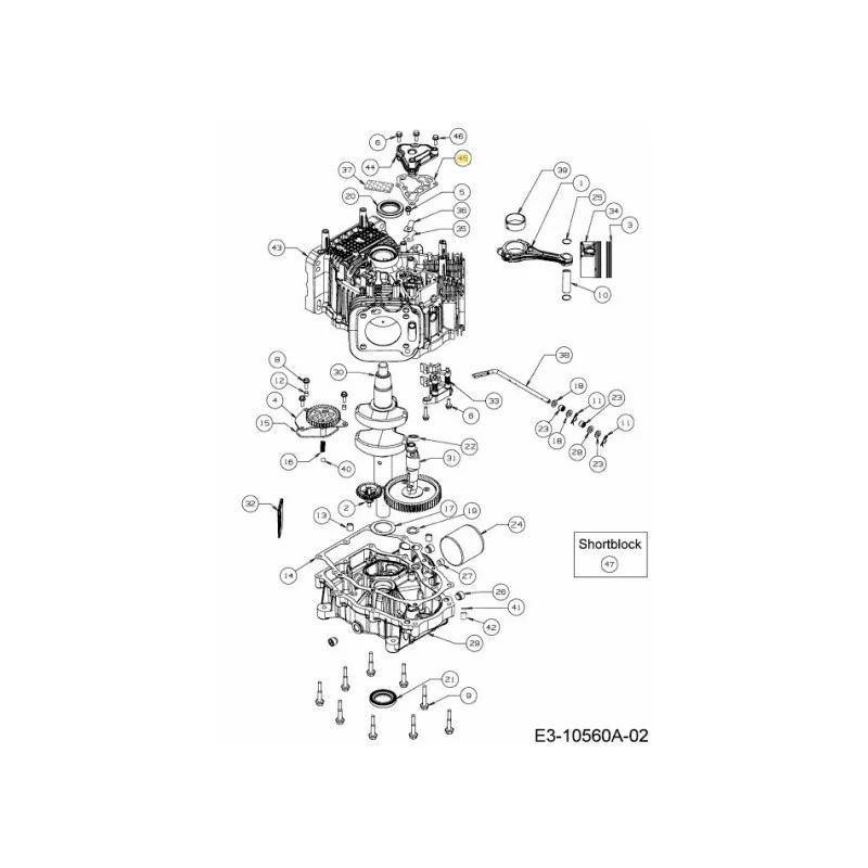 newgardenstore-22808719