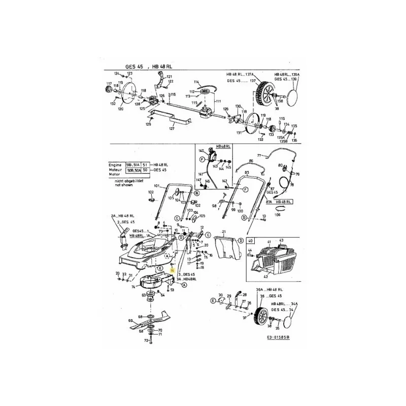 newgardenstore-22809195
