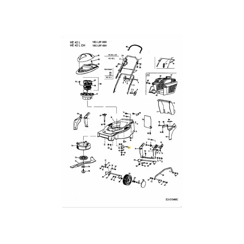 newgardenstore-22809216