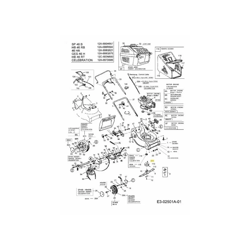 newgardenstore-22813674