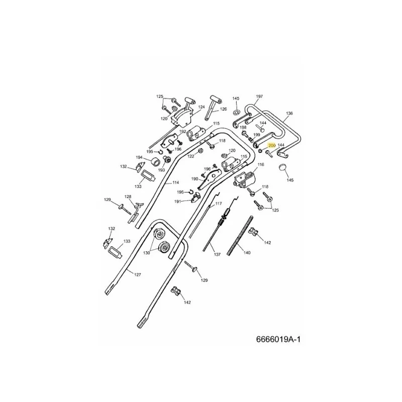 newgardenstore-22815139