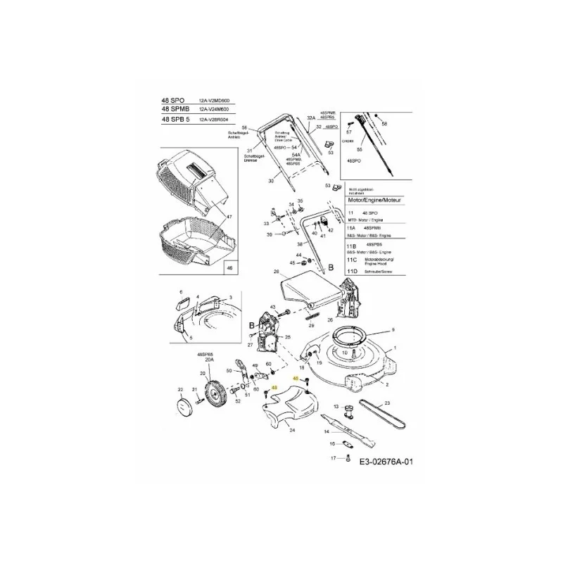 newgardenstore-22828852