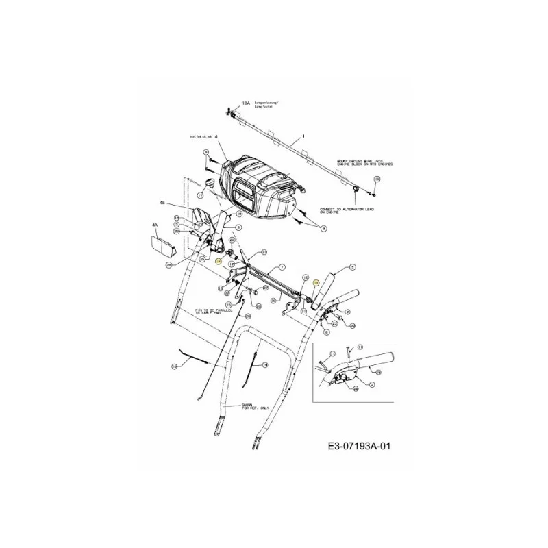 newgardenstore-22828914