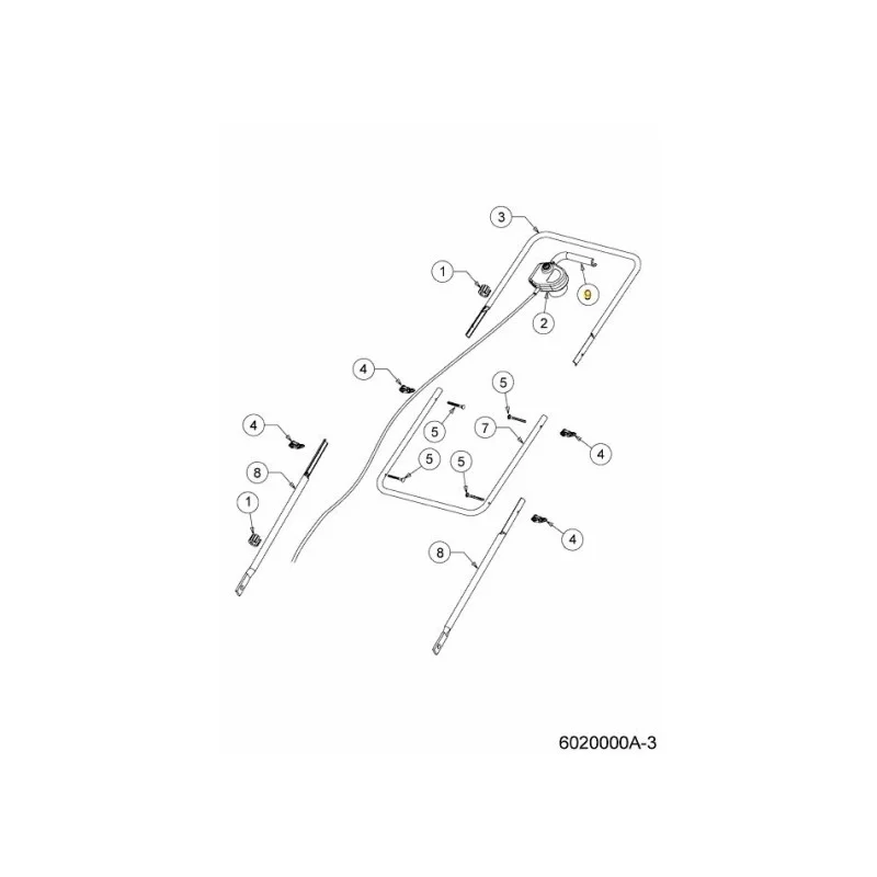 newgardenstore-22830522