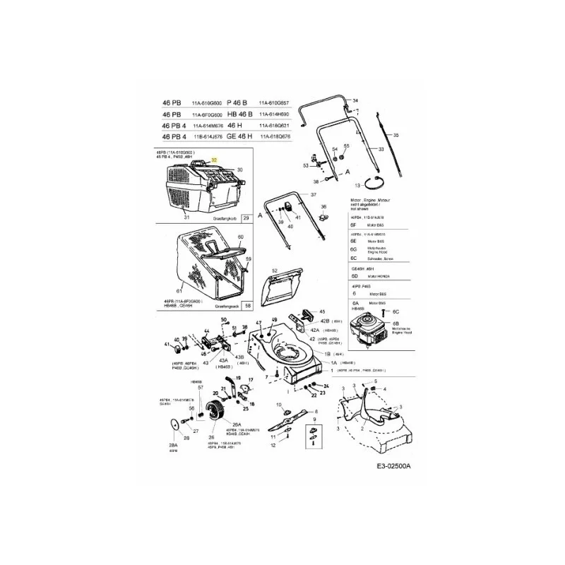 newgardenstore-22835681