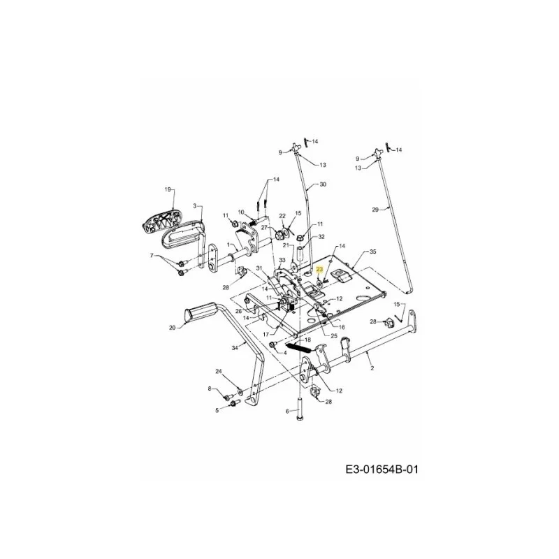 newgardenstore-22848946
