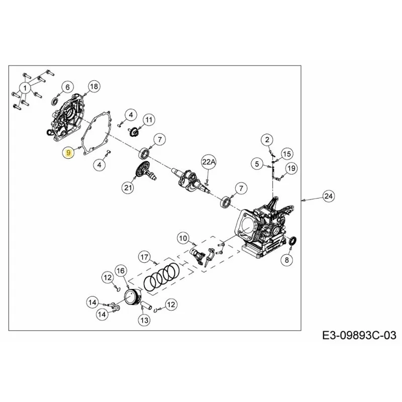 newgardenstore-22858184