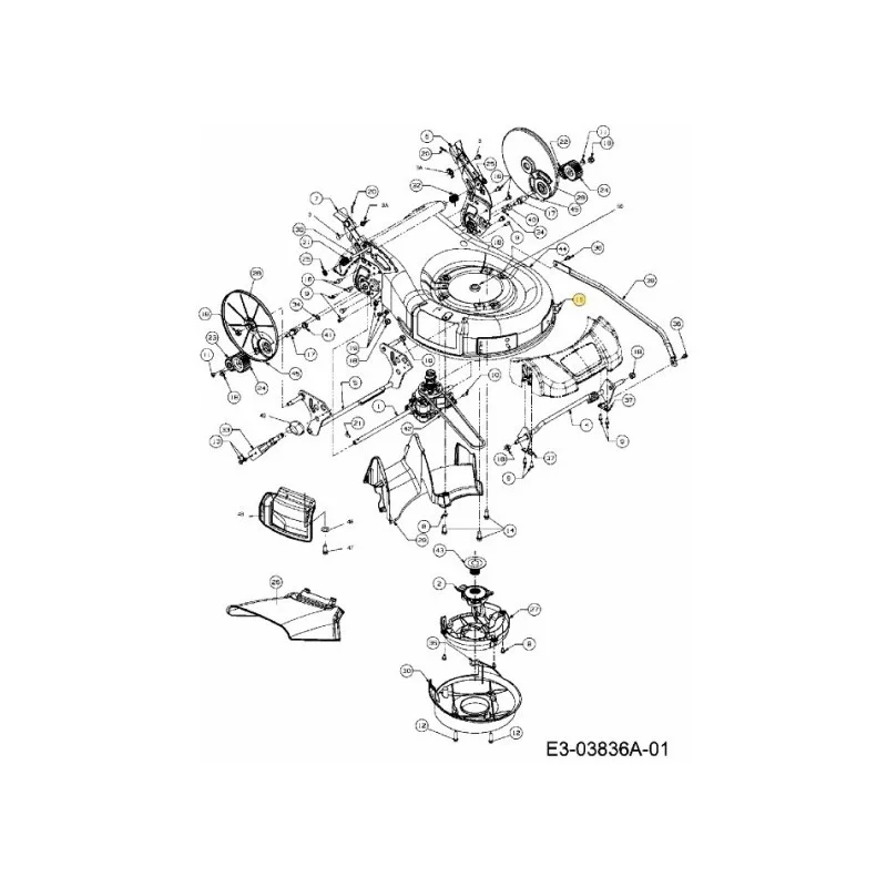 newgardenstore-22866752