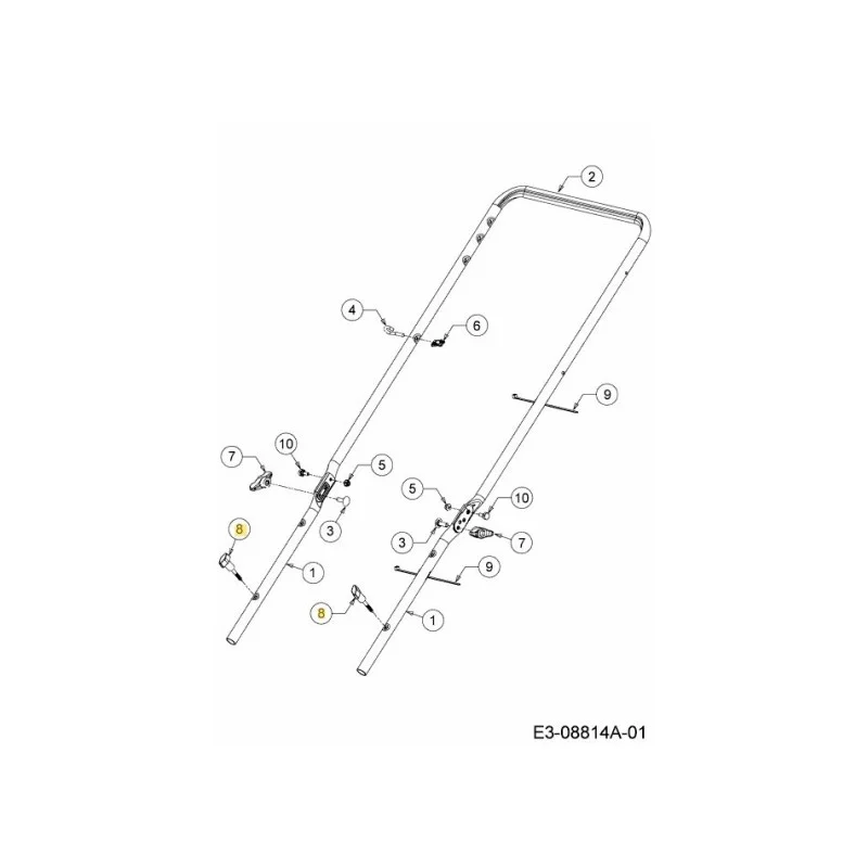 newgardenstore-22867690