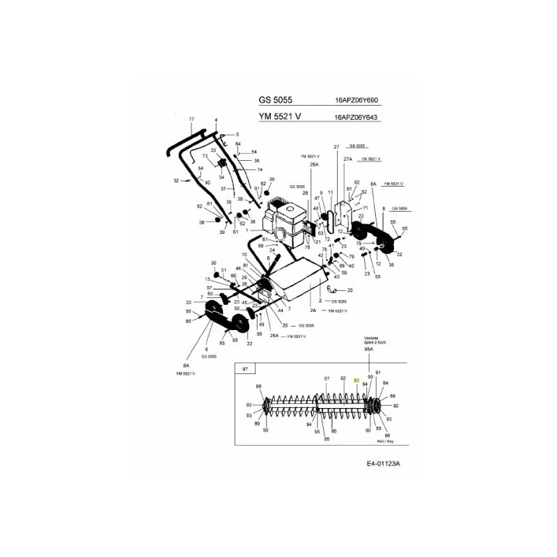 newgardenstore-22868544