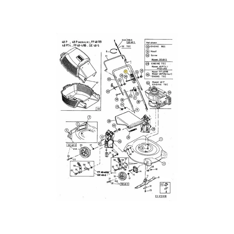 newgardenstore-22881842