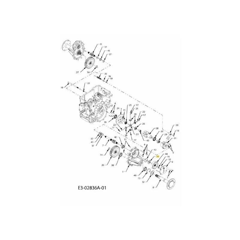 newgardenstore-22883981