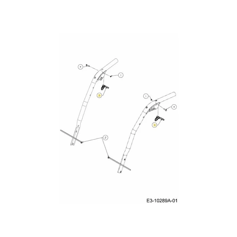 newgardenstore-22884061