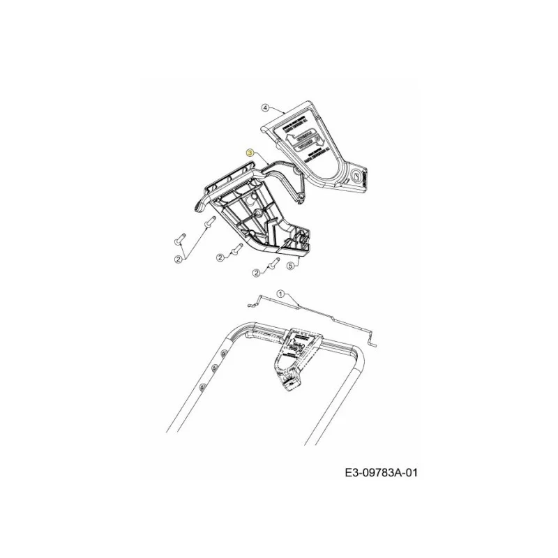 newgardenstore-22891778