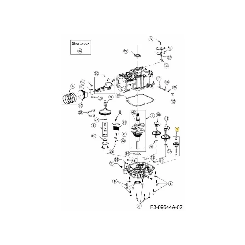 newgardenstore-22899319