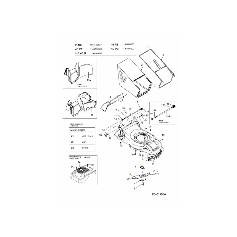 newgardenstore-22899728