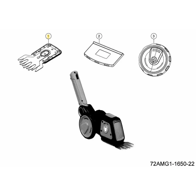 newgardenstore-22902056